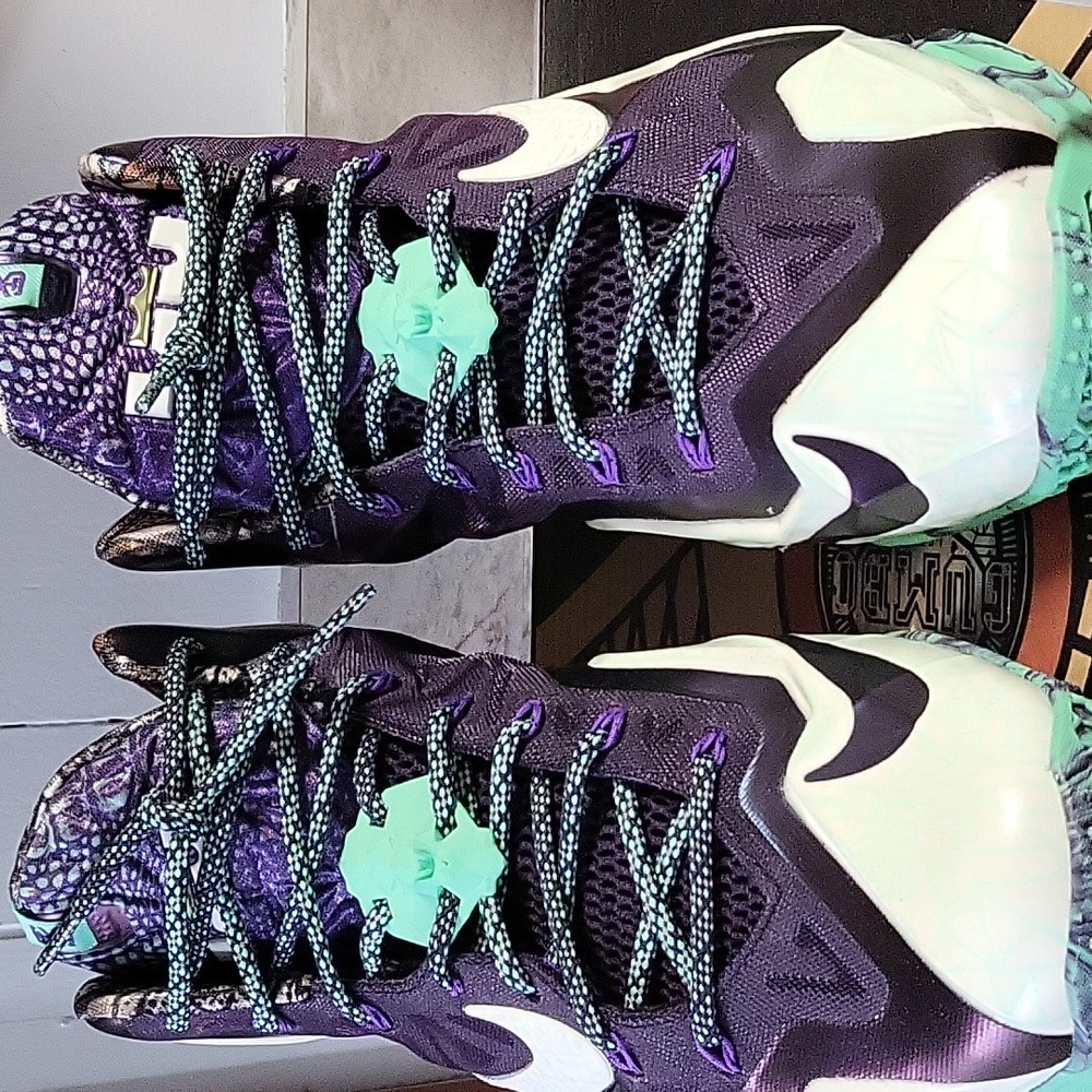 LeBron James Gator King Sneakers